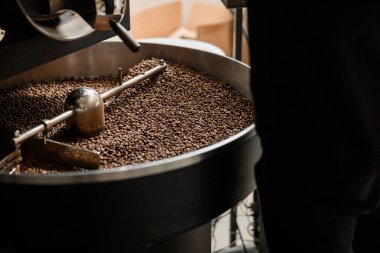 Kahve işleniyor. Roastery, kızartma makinesi ve taze fasulye.
