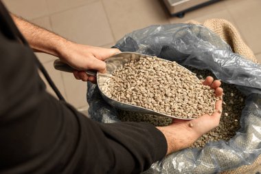 Kızartmadan önce çiğ kahve testi