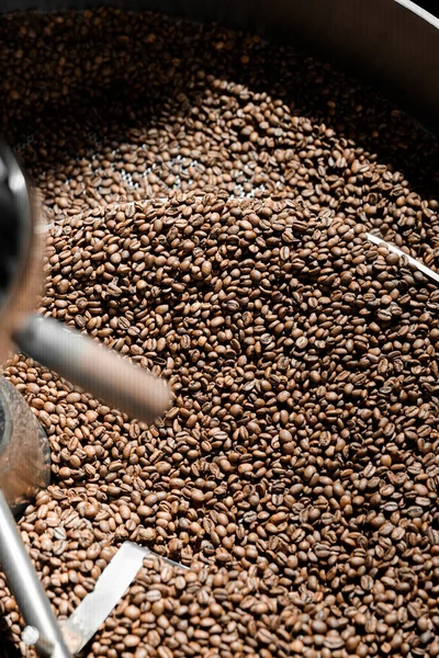 Coffee processing. Roastery, roasting machine and fresh beans