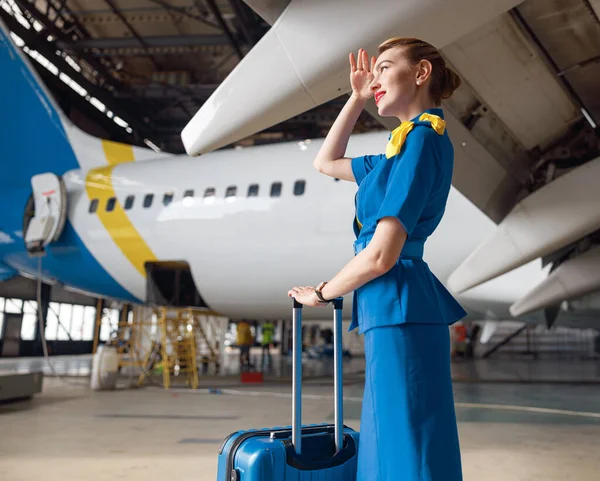 Krásné vzduchové letušky v jasně modré uniformě při pohledu pryč, zatímco stojí s kufrem před osobními letadly — Stock fotografie