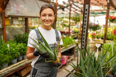 Neşeli bir kadın canlı bir serada güzel aloe vera bitkisini gösteriyor. Bahçıvanlığa olan aşkını ifade ediyor.