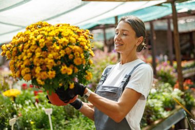 Kendini işine adamış ve tutkulu bir bahçıvan gururla sera ortamında güzel, yemyeşil bir saksı sergiler.