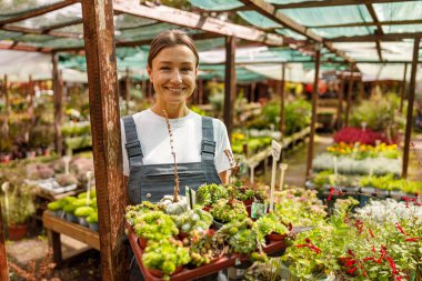Neşeli bir kadın neşeyle çeşitli lezzetli saksıları canlı ve renkli bir bitkinin fidanlığında saklar. Çiçeklerle çiçek açardı.