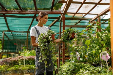 Bir kadın, çok güzel inşa edilmiş ve sera ortamında canlı bitki koleksiyonuyla ilgileniyor.