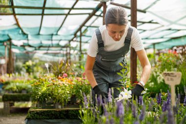 Kendini işine adamış bir bahçıvan, yemyeşil, bakımlı bir çocuk odasında çiçeklerle dikkatlice çalışır..