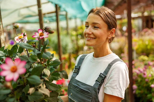 Neşeli bir kadın, fidanlıkta canlı çiçeklerle ilgilenir. Bahçıvanlığa olan tutkusunu bir sanat olarak sergiler.
