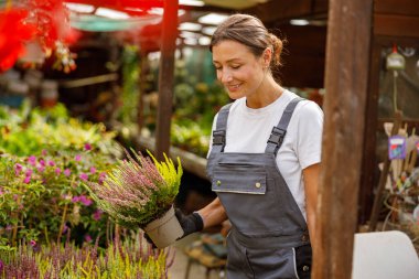 Renkli bir bahçe merkezinde canlı bitkilerle ilgilenen kendini adamış bir kadın bahçe işlerine olan tutkusunu sergiliyor.