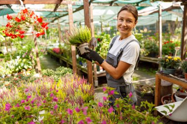 Renkli çiçeklerle dolu yemyeşil bir serada çeşitli bitkilerle ilgilenen neşeli bir kadın.