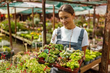 Neşeli bir kadın çeşitli bitkilerle dolu yemyeşil bir serada renkli lezzetler seçmekten zevk alır.