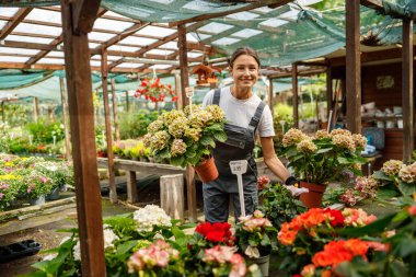 Neşeli ve hevesli bir çiçekçi. Güzel bir bahçede canlı ve renkli çiçekler düzenliyor.