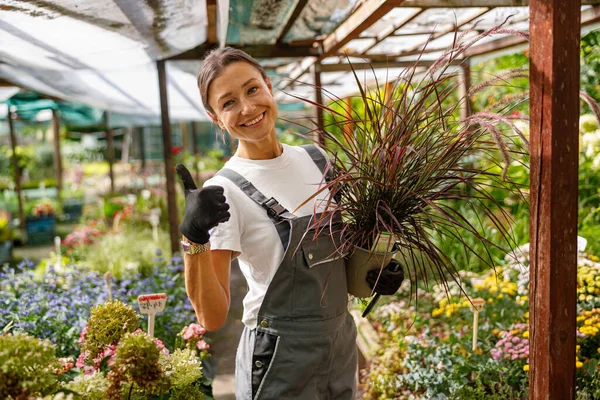 Neşeli bir bahçıvan neşe içinde canlı, serpilen bitkileri büyüleyici güzellikteki bir çiçek bahçesinde tutuyor.