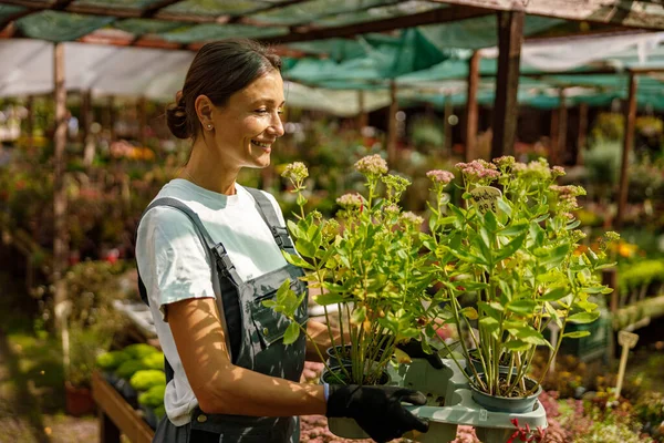 Bahçe merkezinde canlı bitkilerle ilgilenen neşeli bir kadın bahçe işlerine ve doğaya olan sevgisini sergiliyor.