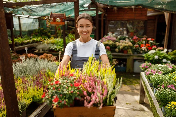 Neşeli bir kadın neşeli bir şekilde canlı bir çiçekçide çalışıyor. Etrafı renkli çiçeklerle çevrili.