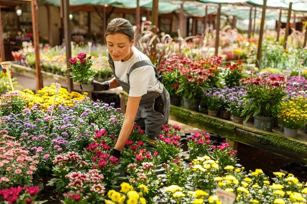 Canlı ve canlı bir pazar atmosferinde güzel çiçekleri ustalıkla düzenleyen ve düzenleyen bir kadın.