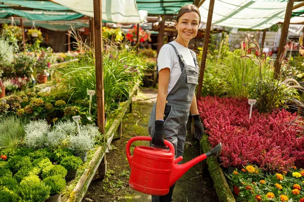 Neşeli bir pazar ortamında neşeli bir bahçıvan neşe saçan neşeli ve renkli çiçeklerle ilgilenir.