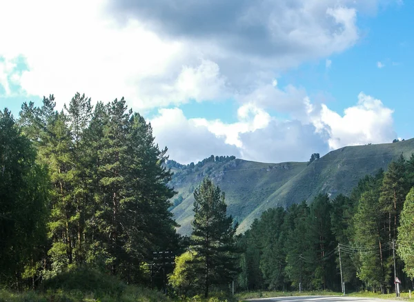 Altai... — Fotografia de Stock