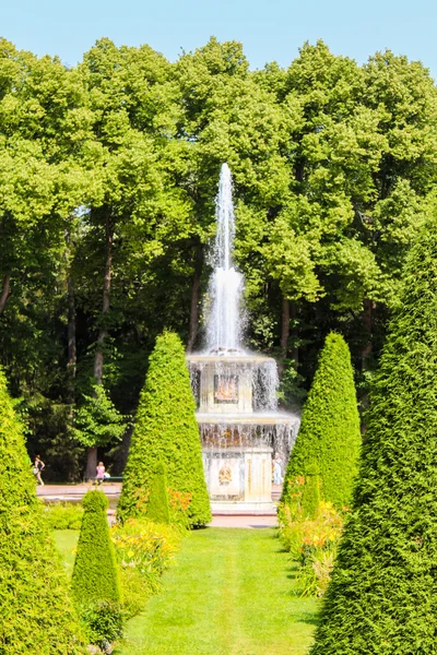 peterhof Parkı