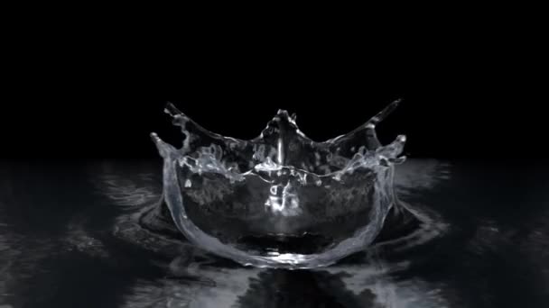 Water drop maken splash op zwarte achtergrond in slow motion. — Stockvideo