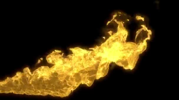 Flux réaliste de feu .