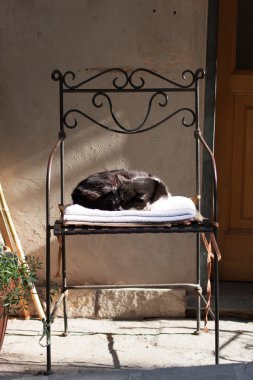 Bir iskemle İtalya'nın sokakta uyuyan kedi