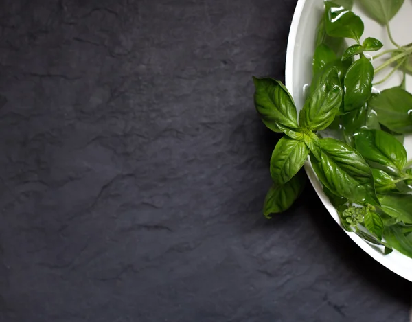 Bunch of basil in water — Stock Photo, Image