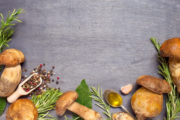 Taze mantar çörek çeşni, zeytin yağı ve biberiye — Stok fotoğraf