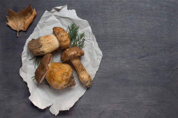 Alcuni funghi porcini su carta con foglia — Foto Stock