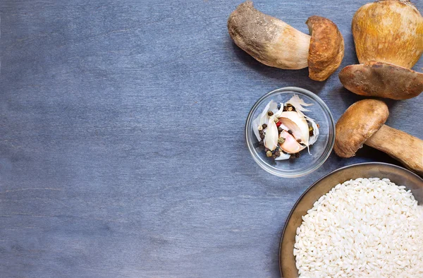조미료 및 쌀 boletus 버섯 — 스톡 사진
