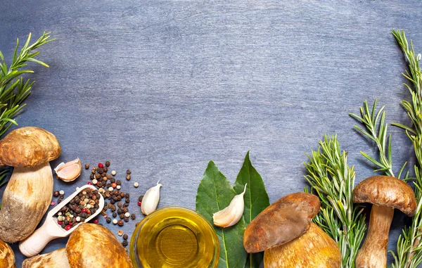 Verse champignons boletus met kruiderij en rozemarijn — Stockfoto