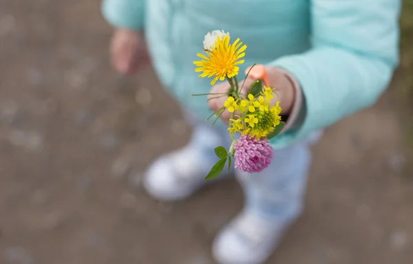 küçük kızın elinde değişik çiçek buketi