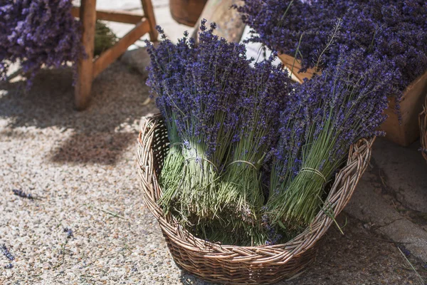 Lavander in basket