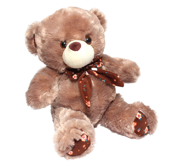 Brown toy plush teddy bear isolated on white background