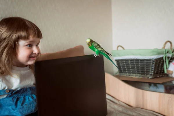 Happy girl at home. home pet. budgerigar. laptop and gadgets. Baby watching cartoons, or online games. — Stock fotografie