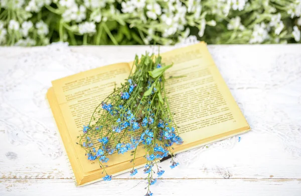 Open vintage book, blue forget-me-not flowers , wooden table, cozy morning in village, sunny summer, holidays. Book of Batanica — Stock Photo, Image