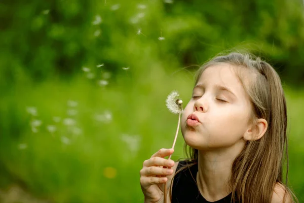 Summer in the park or forest. nature, freshness idea and freedom. happy childhood.Summer joy, little girl blowing dandelion at sunset near the river — Stock Photo, Image