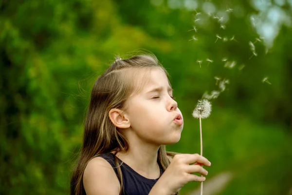 Summer in park or forest. nature, freshness idea freedom. happy childhood.Summer joy, little girl blowing dandelion at sunset near river — Stock Photo, Image