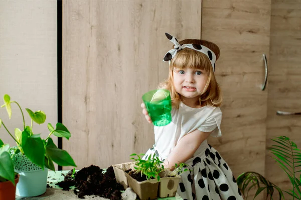 可爱的小女孩在他的房子里浇花。室内异国植物的护理和移植. — 图库照片