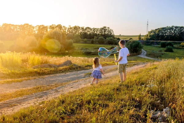 夏の大自然の中でシャボン玉で遊ぶ幸せな子供たち。夕日の泡 — ストック写真