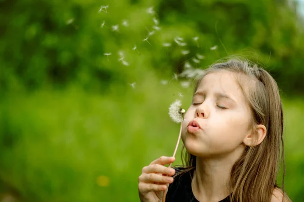 Summer in the park or forest. nature, freshness idea and freedom. happy childhood.Summer joy, little girl blowing dandelion at sunset near the river — Stock Photo, Image