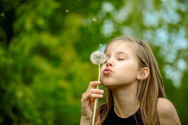 Zomer in het park of bos. natuur, frisheid idee en vrijheid. Zomer vreugde, klein meisje blazen paardenbloem bij zonsondergang in de buurt van de rivier — Stockfoto