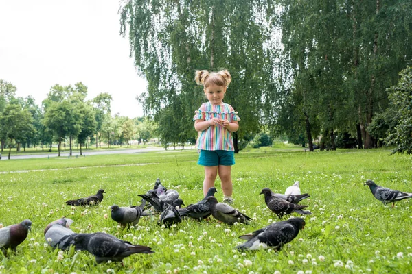一个小女孩跑去找鸽子。小女孩在城外的城市公园里追赶鸽子。快乐快乐的童年，跑来跑去的欢笑和尖叫. — 图库照片