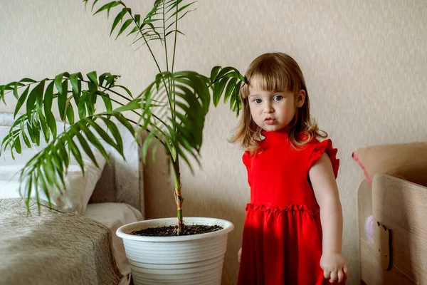 Linda niña pelirroja en el dormitorio regando una planta de la casa en una cama cerca de la cama. cuidado de plantas exóticas, jardinería en el hogar — Foto de Stock