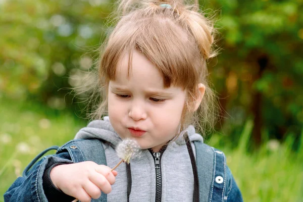 Little girl playing in a field of dandelions.baby girl blowing a dandelion. white seeds are flying. idea and future, freedom of flight and creative concept. — Stock Photo, Image