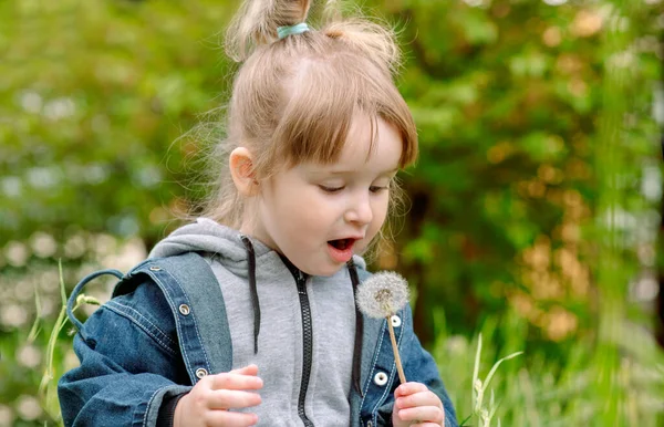 Menina brincando em um campo de dandelions.baby menina soprando dente de leão. sementes brancas estão voando. ideia e futuro, liberdade de voo e conceito criativo. — Fotografia de Stock