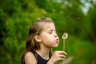 Parkta ya da ormanda yaz. Doğa, tazelik fikri ve özgürlük. Mutlu çocukluk. Neşelen, küçük kız gün batımında nehire yakın karahindiba üflüyor.