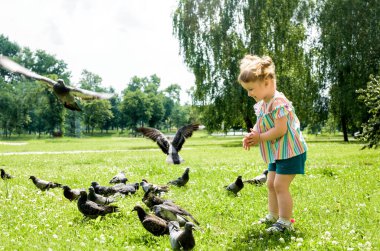 Çocuk şehir parkında güvercinleri besliyor. Küçük kız güvercinlerin yanında koşuyor. Güvercin kovalamak, mutlu gülümseyen çocuk. Sıcak, güneşli yaz.