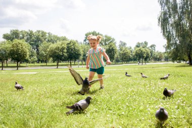 Küçük bir kız güvercinler için koşuyor. Bebek kız şehir parkında güvercin kovalıyor. Neşeli mutlu bir çocukluk, koşuyor kahkahalar ve çığlıklar.