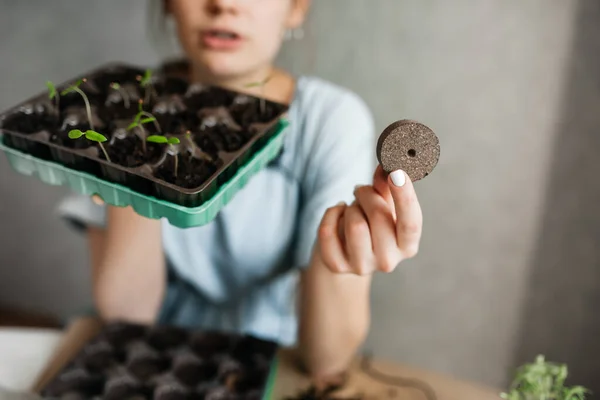 Young girl blogger is broadcasting live gardening. Ecology and blogging concept — Foto de Stock