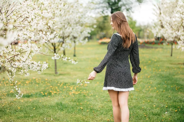 在公园里散步的漂亮姑娘。春天里盛开的苹果树 — 图库照片