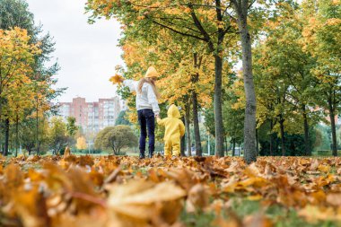 Mutlu çocuklar sonbahar parkında yürürler. Yaprak düşüşü, yaşam tarzı